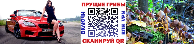 Псилоцибиновые грибы Psilocybe  купить   kraken ссылки  Далматово 